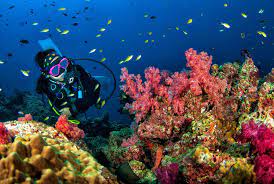 Diving in Indonesia, A World-Class Attraction for Tourists